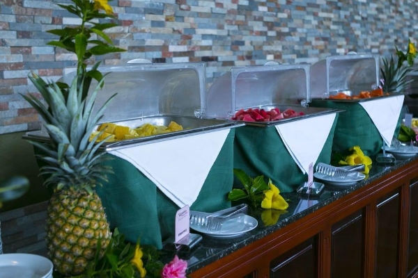 Hotel Mountain Paradise Wellness & Spa (Fortuna)